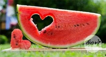 免费吃瓜,揭秘娱乐圈幕后故事